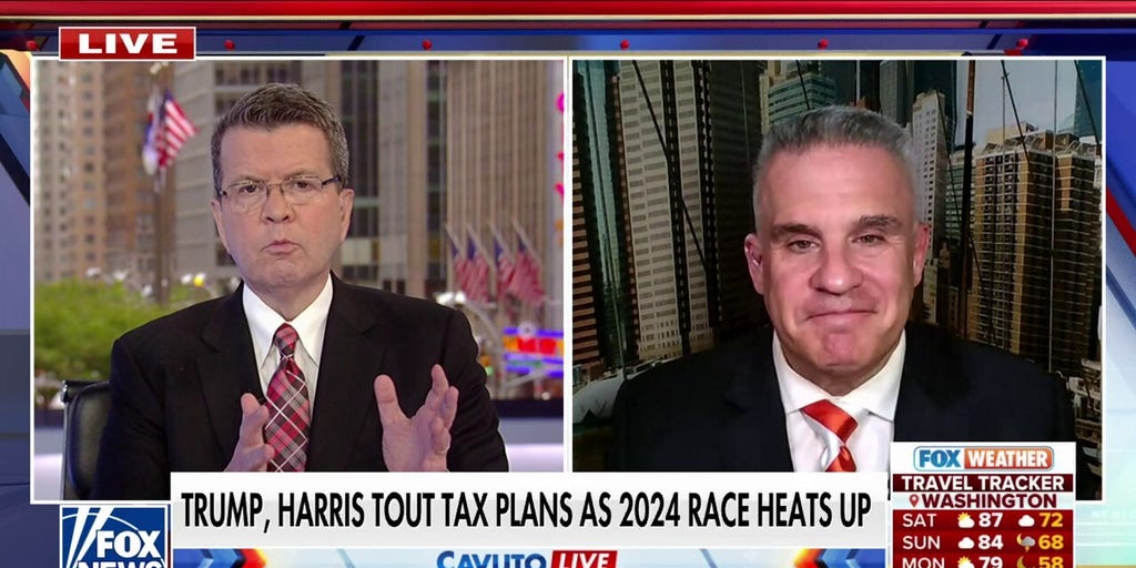 Kamala Harris is looking to ‘redistribute wealth’ with her tax plan: Dan Geltrude | Fox News Video