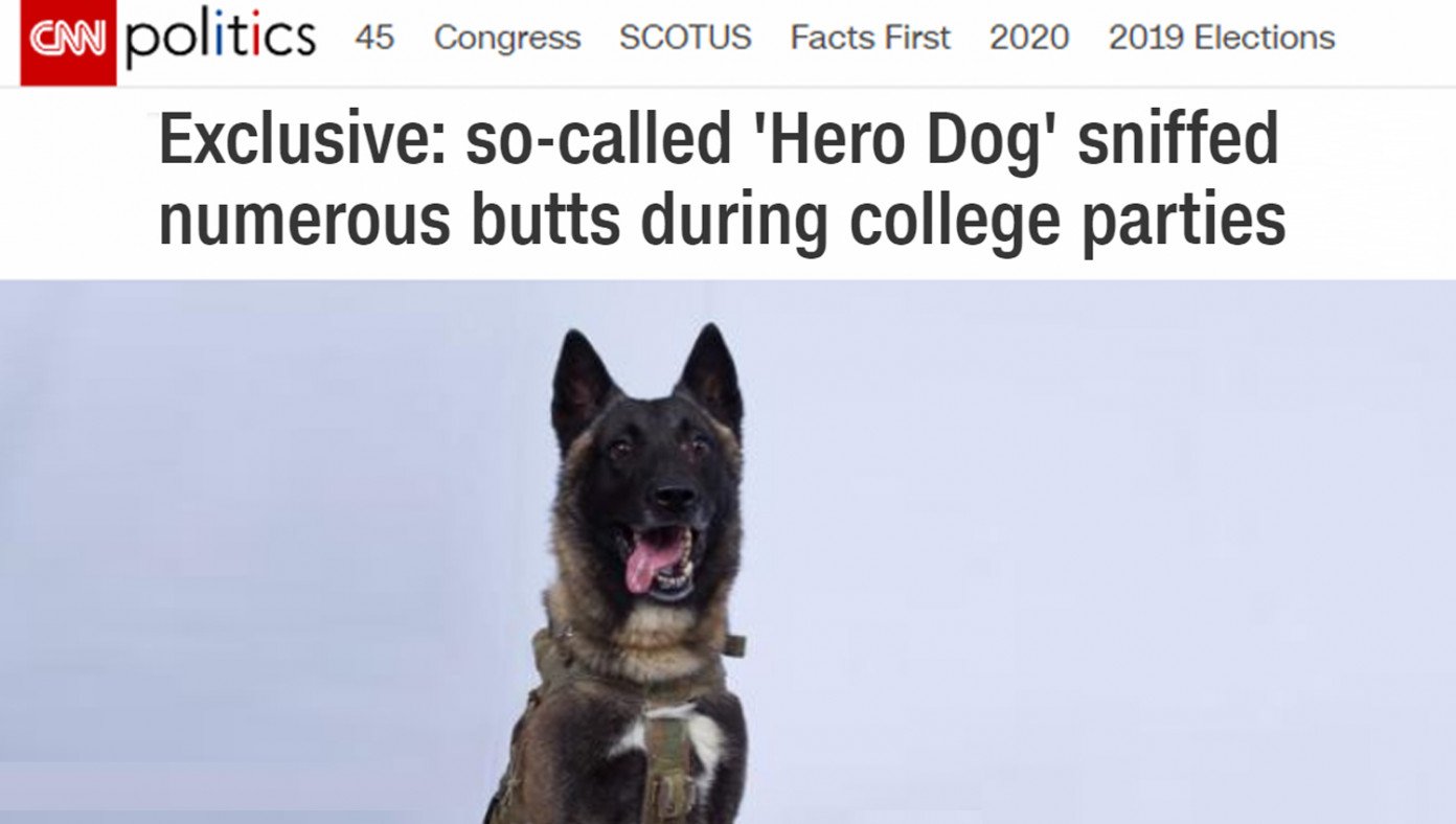 CNN Uncovers Evidence Hero Dog Sniffed Dozens Of Butts Back In College | Babylon Bee