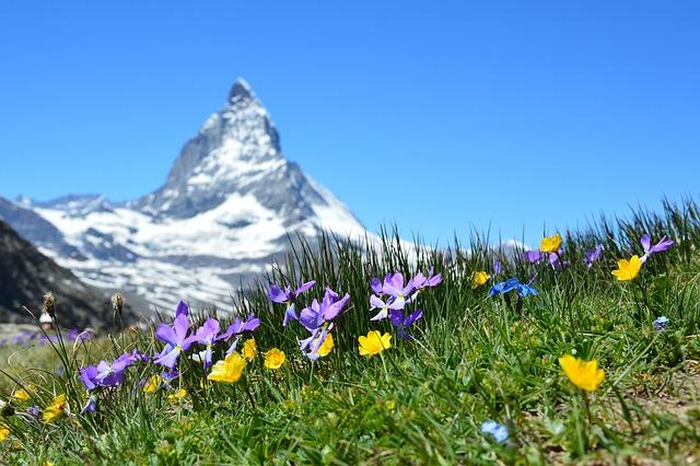 Switzerland begins covering its most iconic landscape with… solar panels – Allah's Willing Executioners