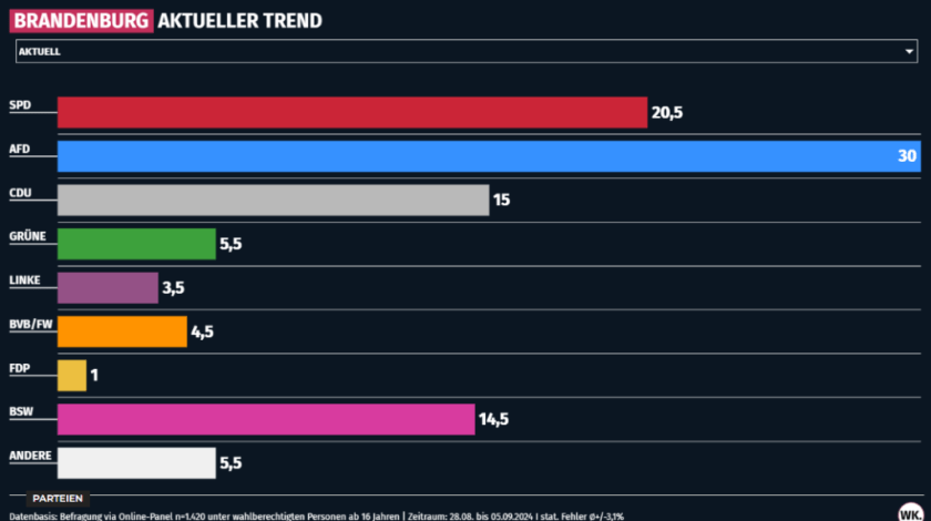 AfD Brandenburg support spikes as Greens risk zero-seat election result – Allah's Willing Executioners