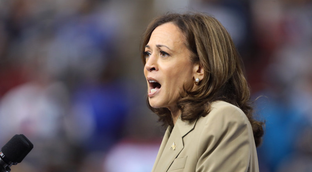 A journalist shook his head in disbelief after Kamala Harris gave this bad answer - Renewed Right