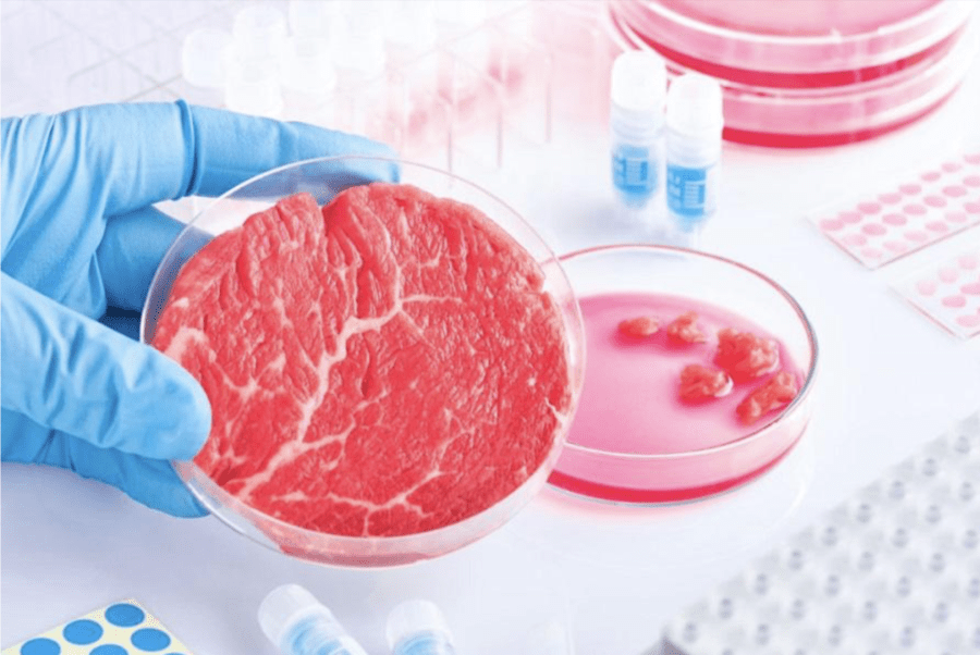 Biden Defense Department Grants $1.48 Million to Lab-Grown Meat Venture – Finish The Race