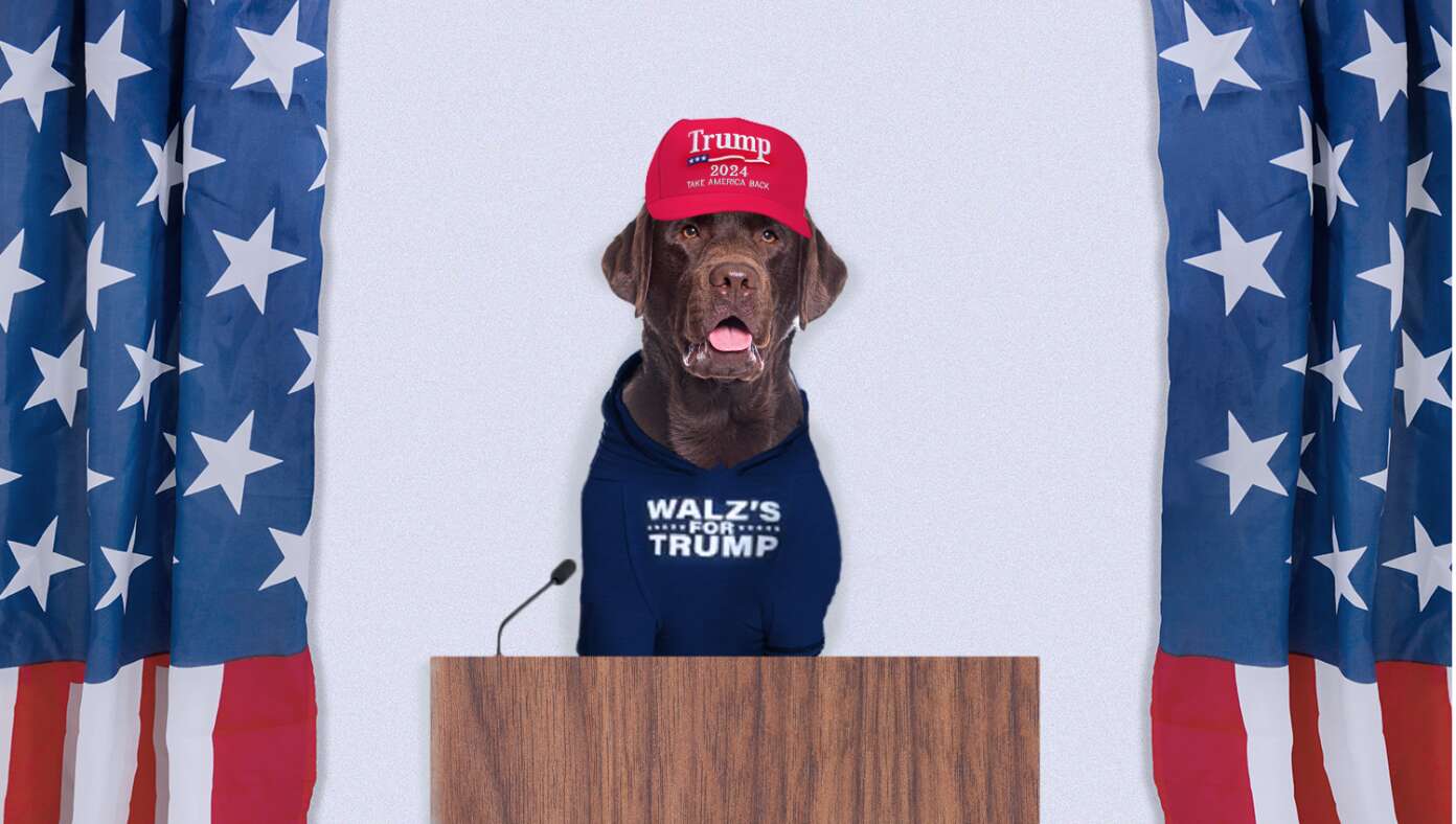 Tim Walz’s Dog Endorses Trump | Babylon Bee