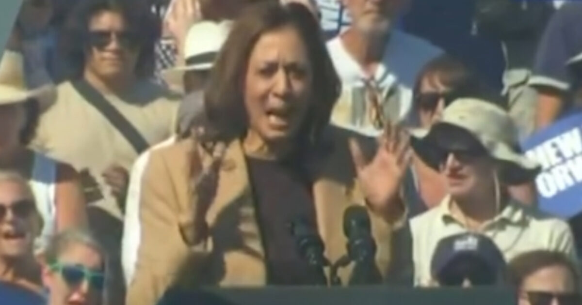 SICK: Kamala Politicizes Georgia School Shooting by Likely Mentally Ill Person, Takes Aim at Gun Rights During Campaign Stop (VIDEO) | The Gateway Pundit | by Jordan Conradson