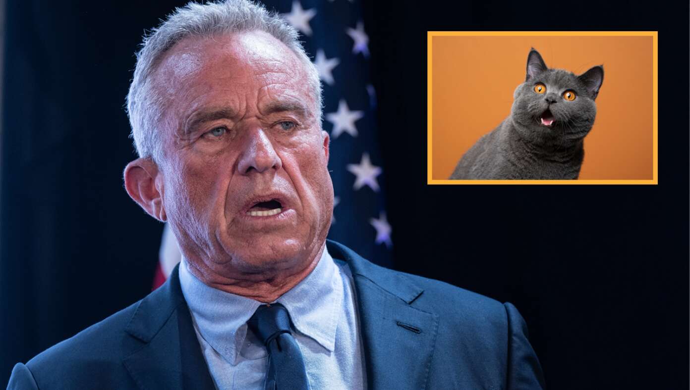 RFK Jr. Really Really Hoping Nobody Asks Him Point Blank If He’s Ever Eaten A Cat | Babylon Bee