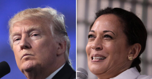 Donald Trump Blasts 'Comrade' Kamala Harris: 'Communism Is the Past; Freedom Is the Future'