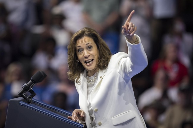 Kamala's Top Surrogate Just Bulldozed One of Her Only Policy Proposals