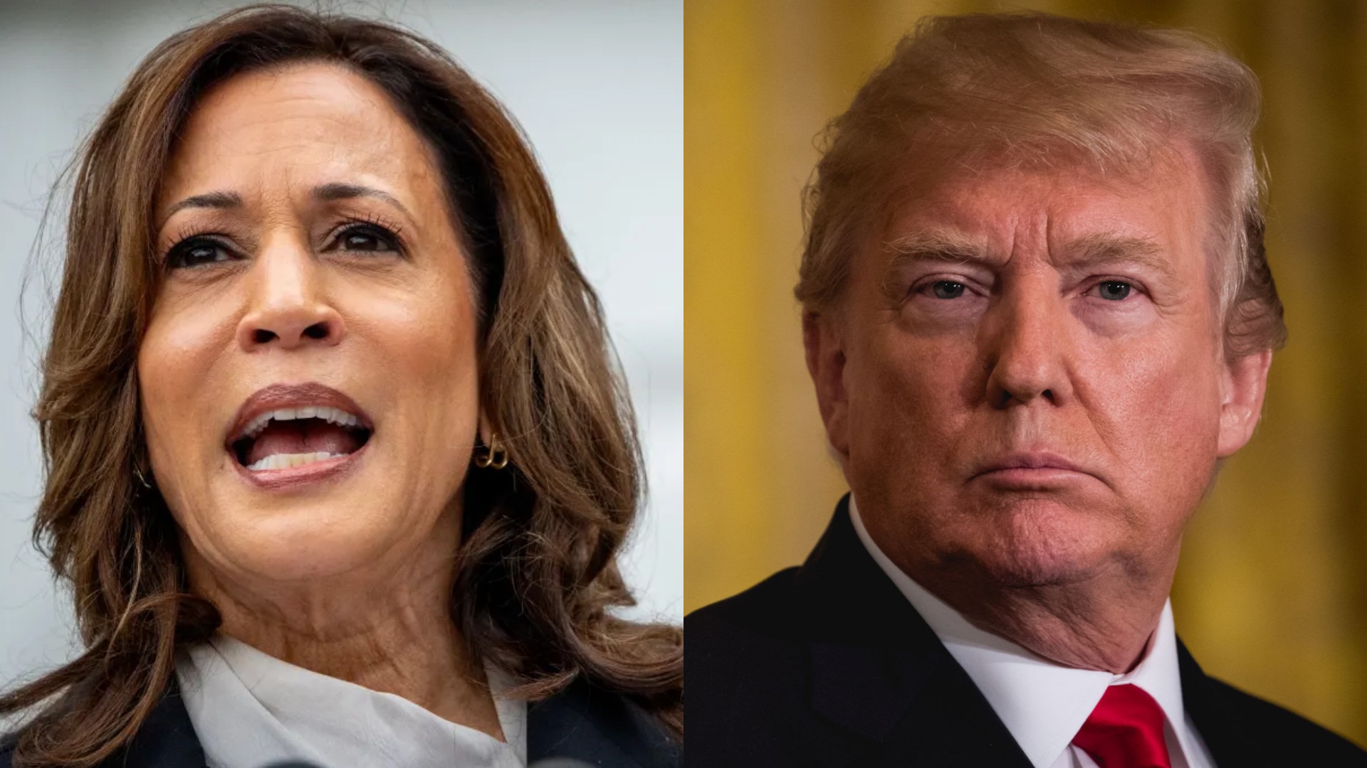 Trump Camp Dismantles Kamala Harris's Campaign Policy Page Dubbed "A New Way Forward" Released in the Dead of the Night | The Gateway Pundit | by Cristina Laila