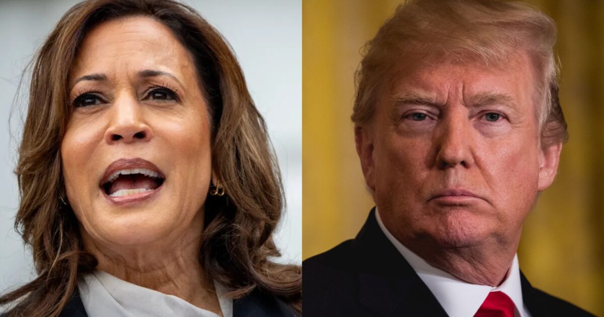 WAYNE ROOT: This is All President Trump Has to Say to Close the Presidential Debate with Commie Kamala Harris | The Gateway Pundit | by Assistant Editor