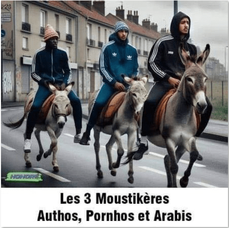 France: Illegal Pakistani migrant watches porn at his own trial for sexual assault against a French woman – Allah's Willing Executioners