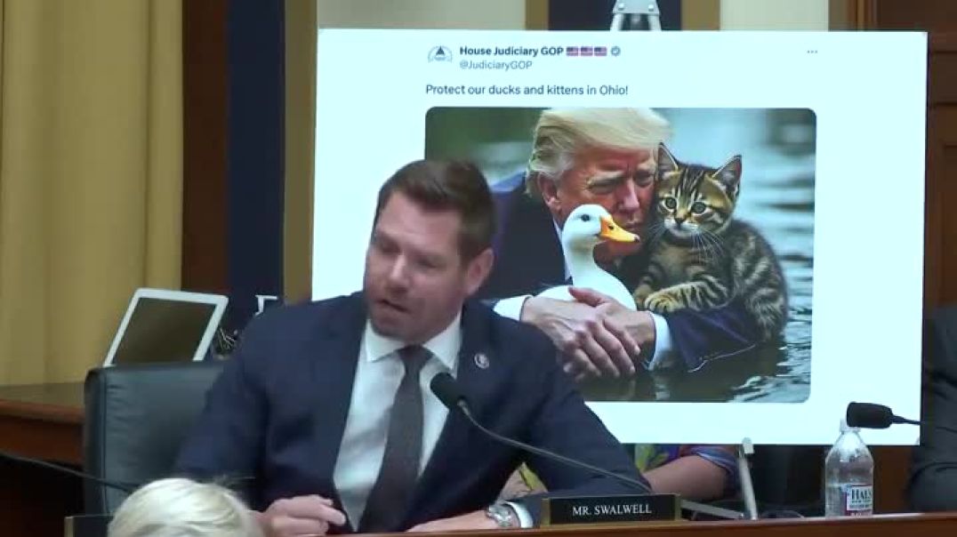 Eric Swalwell has a full on MELTDOWN over cat & duck meme tweeted by Chairman Jim Jordan.