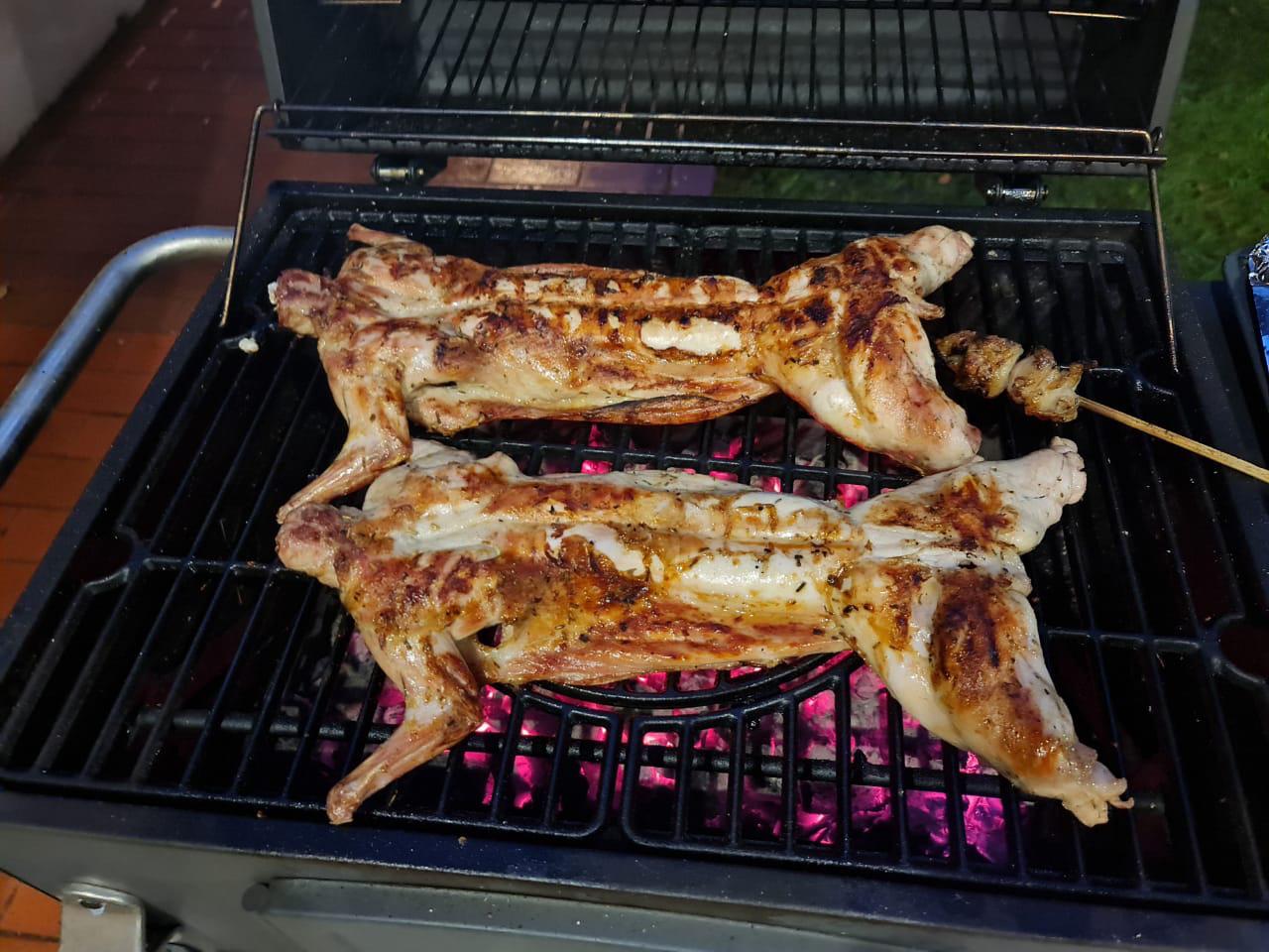 Democrats and Their Loyal Minions in the Press Insists Haitians Do Not Eat Pets: Watch This Video of Dead Cats on a BBQ Grill - RPWMedia