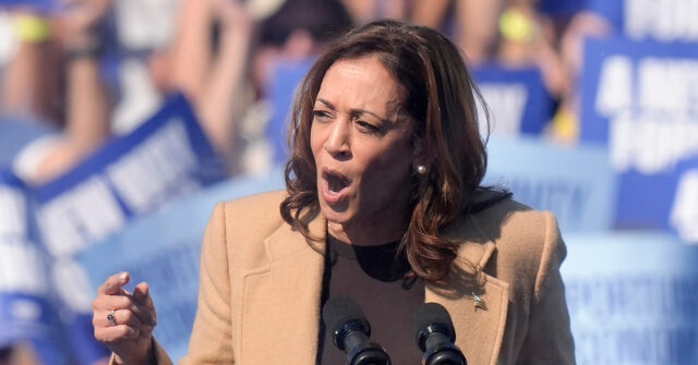 Kamala Harris Pushes Gun Ban and More Controls Before Facts in Georgia Shooting Known