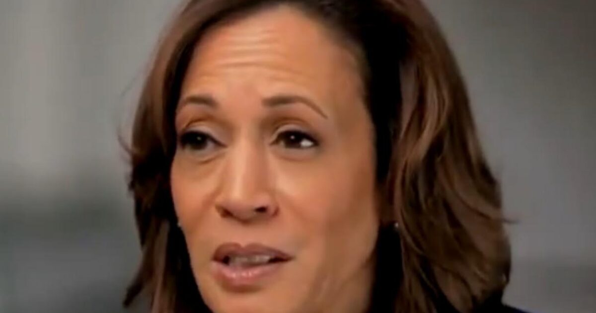 Kamala Harris AGAIN Says It May Take Days to Count Ballots (VIDEO) | The Gateway Pundit | by Cristina Laila