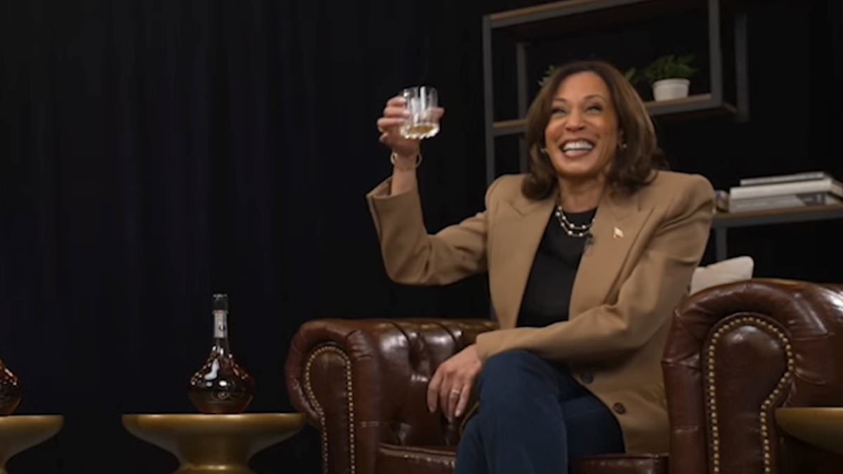 Kamala's insulting claim about black men voting for Trump during cognac-sipping interview | Daily Mail Online