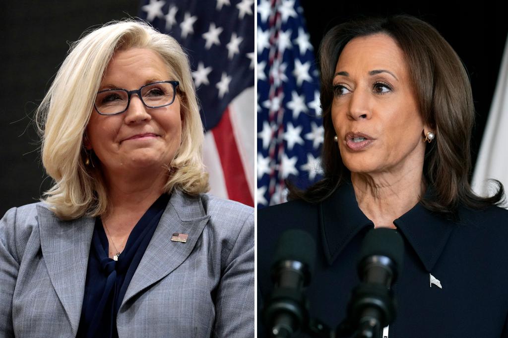 All the times ex-GOP Rep. Liz Cheney ripped 'radical' Kamala Harris before endorsement