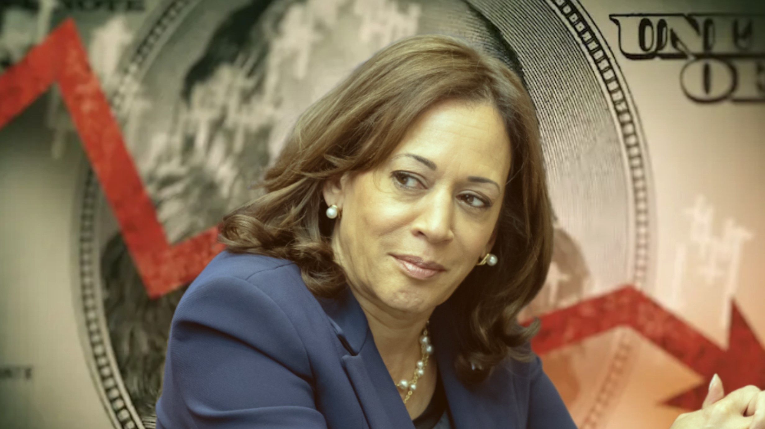 Ex-CIA Advisor: “Kamala Set to Trigger Election Meltdown” | The Gateway Pundit | by Promoted Post