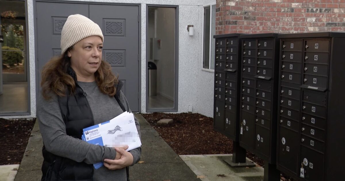 Washington Woman Shocked to Find 16 Ballots for Different Names Sent to Her New Apartment | The Gateway Pundit | by Jim Hᴏft