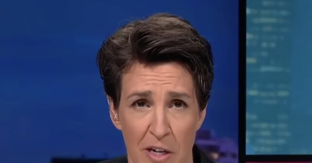 MSNBC’s Maddow: Is Trump Trying to 'Destroy the U.S. Government' with Cabinet Picks?