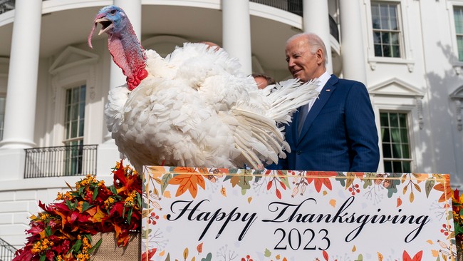 Bloomberg: American's Thanksgiving Meal Is Destroying the Planet