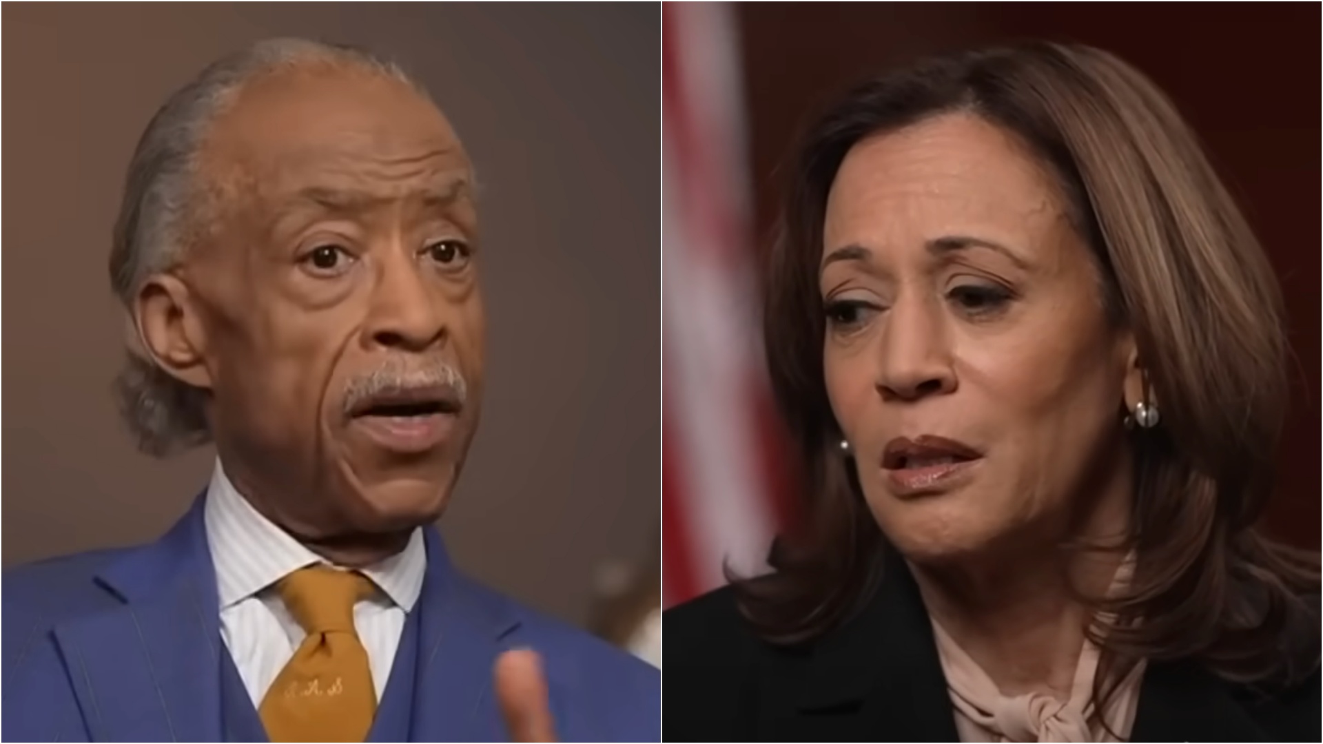 Kamala Harris Campaign Funneled $500K to Al Sharpton’s Nonprofit Just Weeks Before Softball Interview with Race Grifter MSNBC Host: Report | The Gateway Pundit | by Jim Hᴏft