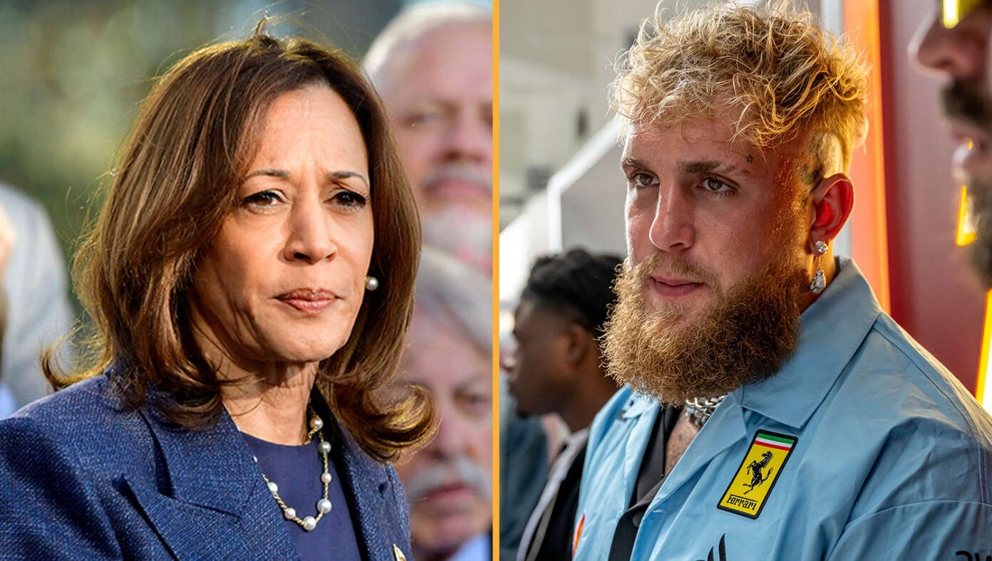 To Pay Back $20 Million Campaign Debt, Kamala Harris Agrees To Fight Jake Paul | Babylon Bee