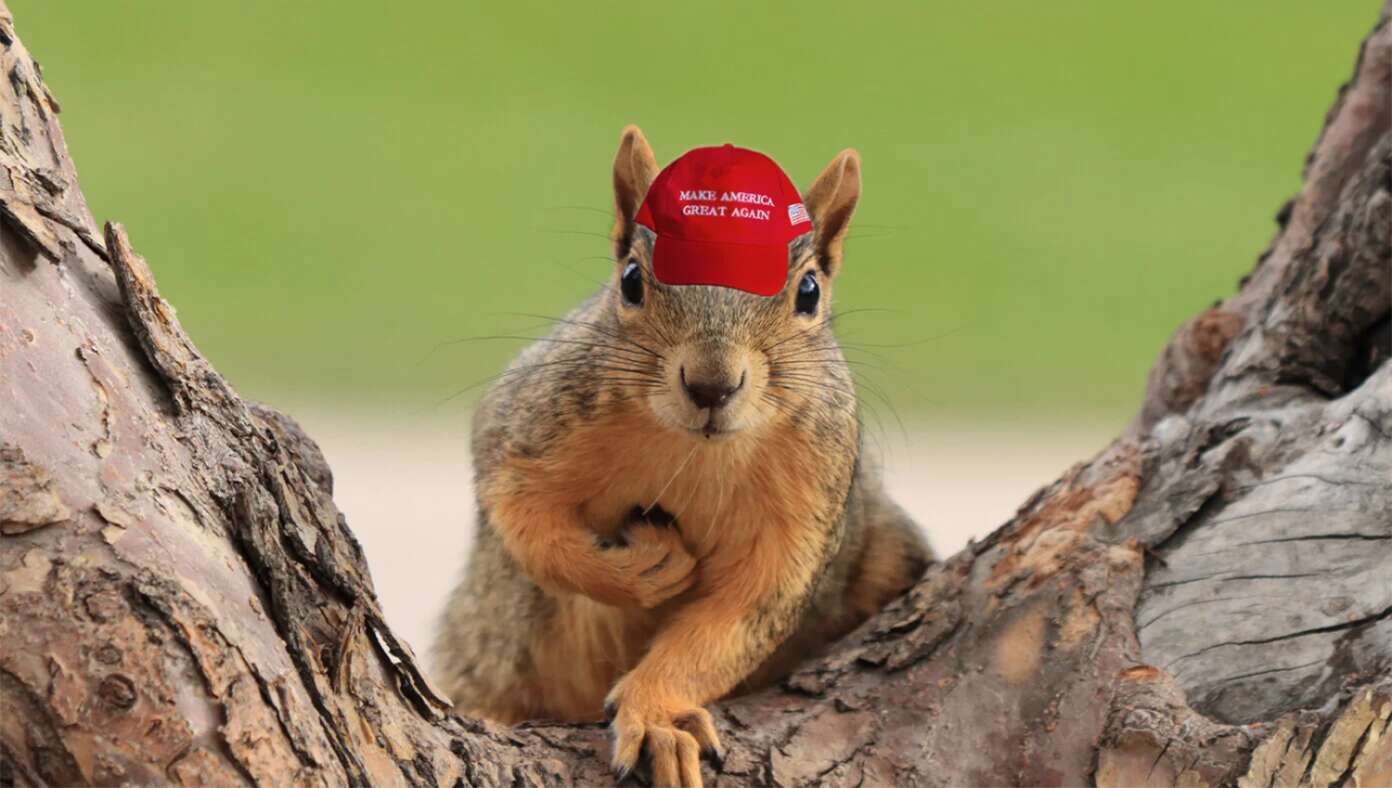 Radicalized Squirrels In MAGA Hats Begin Uprising | Babylon Bee