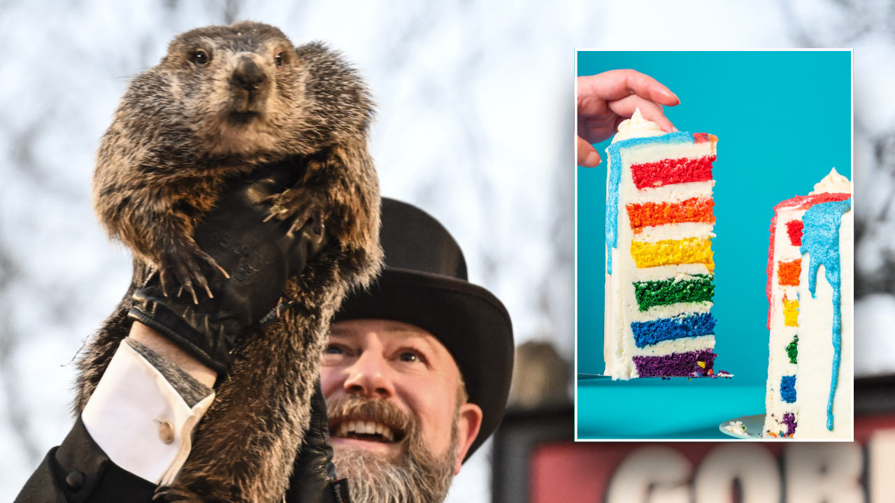 PETA calls to end Groundhog Day tradition, retire Punxsutawney Phil with cake alternative | Fox News