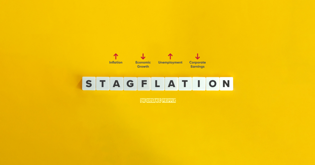 Here's What You Need to Know About Stagflation - The Organic Prepper