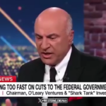 Kevin O’Leary, “Mr. Wonderful”, has a message for DOGE