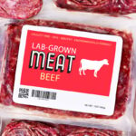 Lab Grown meat is not safe but FDA approved anyway