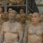 Marxist Venezuela Gang used to Overwhelm America