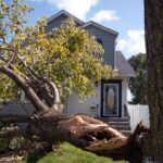 Gary, Indiana, can’t blame racism for every failure exposed by its catastrophic blackout